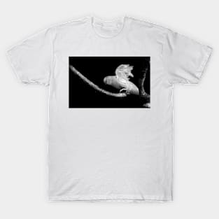 Flying Parakeet in Black and White T-Shirt